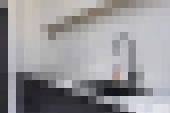 Van Anrooijstraat 172 Oss thumbnail 15