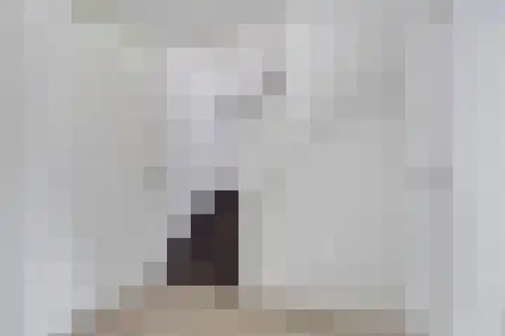 Van Anrooijstraat 172 Oss thumbnail 16