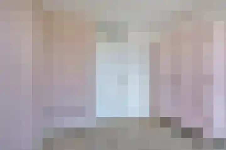 Van Anrooijstraat 172 Oss thumbnail 19