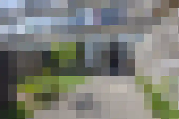 Van Anrooijstraat 172 Oss thumbnail 28