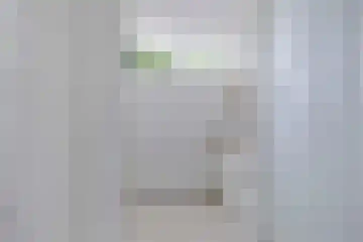 Van Anrooijstraat 172 Oss thumbnail 4