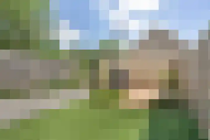 Van Anrooijstraat 172 Oss thumbnail 5