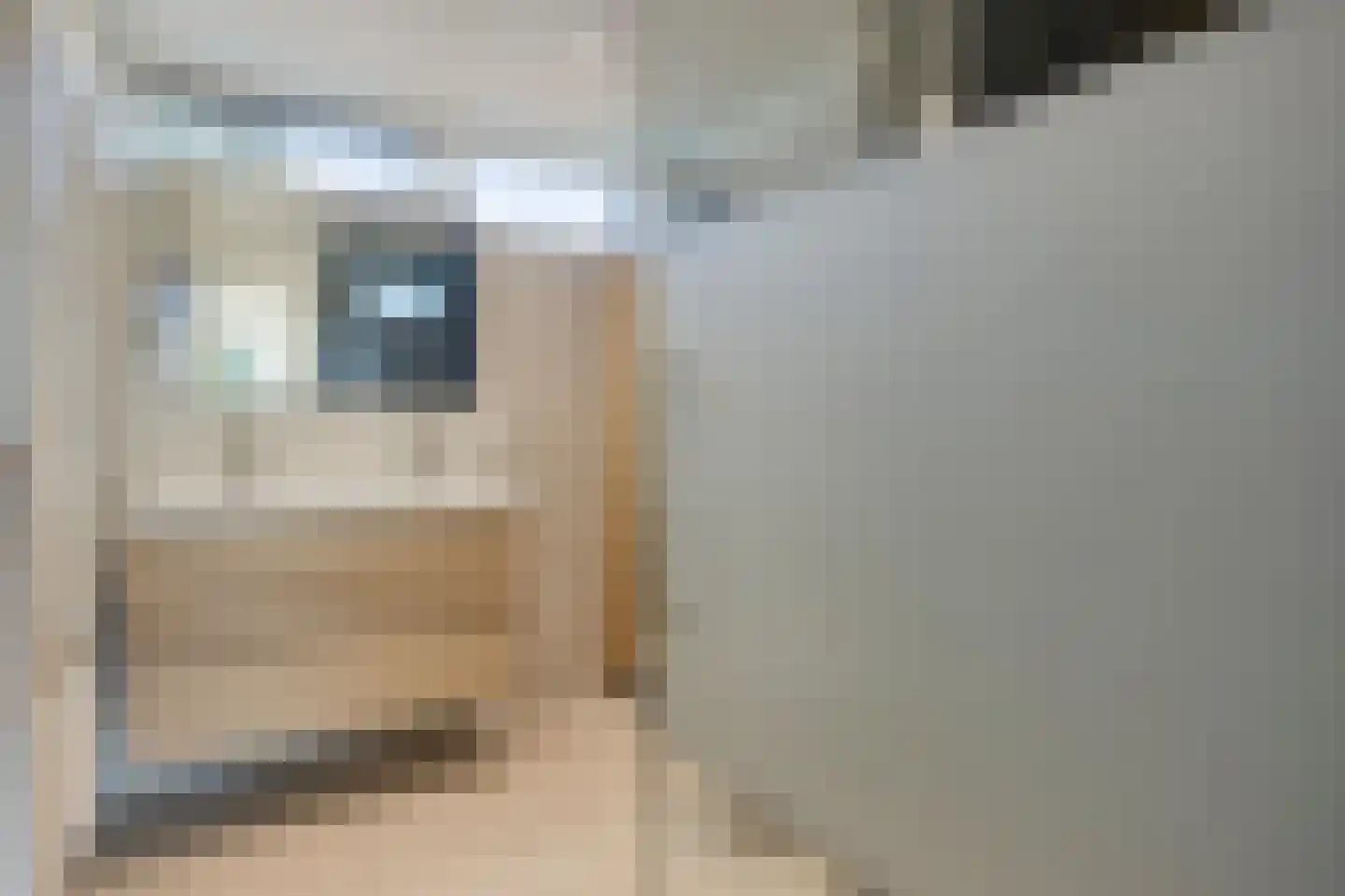 Van Anrooijstraat 180 Oss thumbnail 21