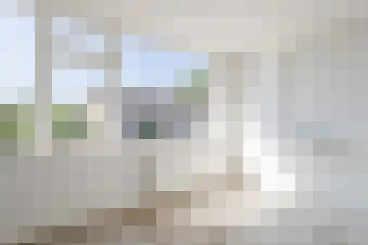 Van Anrooijstraat 21 Oss thumbnail 13