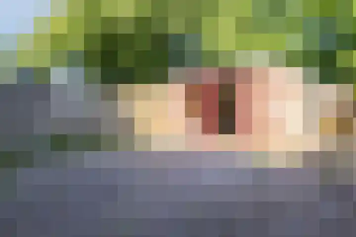 Van Anrooijstraat 21 Oss thumbnail 24