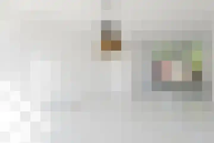 Van Anrooijstraat 21 Oss thumbnail 5