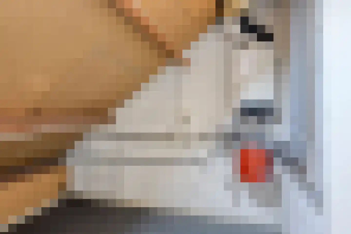 Van Anrooijstraat 54 Oss thumbnail 20