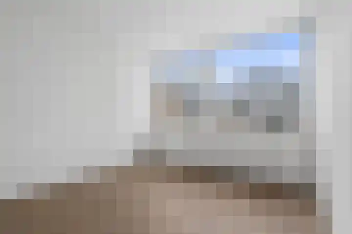 Van Anrooijstraat 55 Oss thumbnail 10