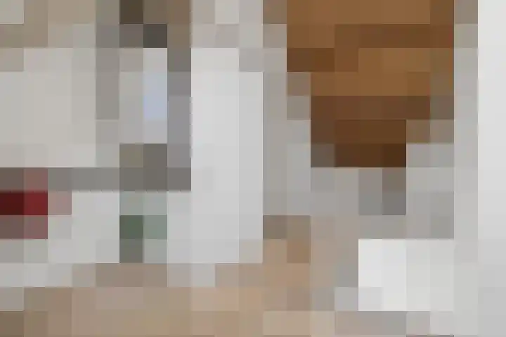 Van Anrooijstraat 55 Oss thumbnail 20