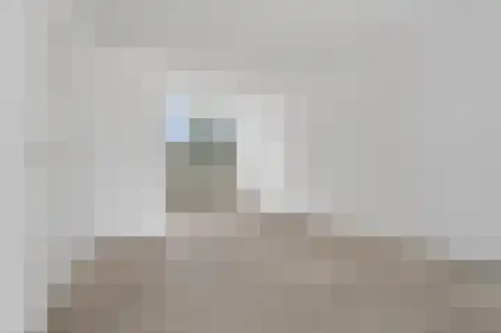 Van Anrooijstraat 55 Oss thumbnail 4