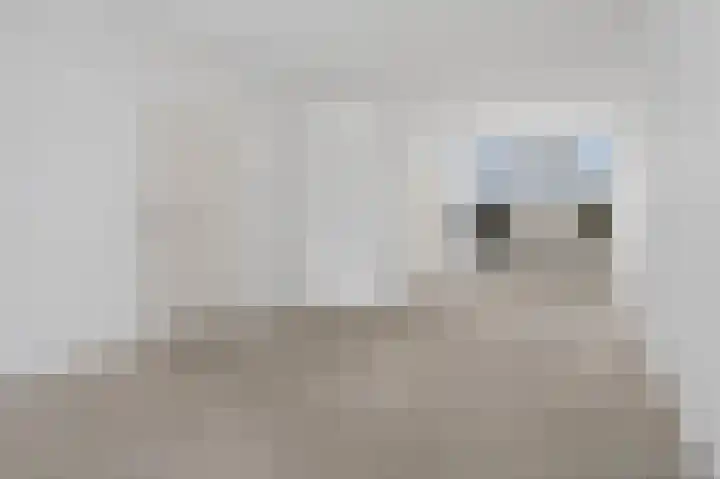 Van Anrooijstraat 55 Oss thumbnail 5