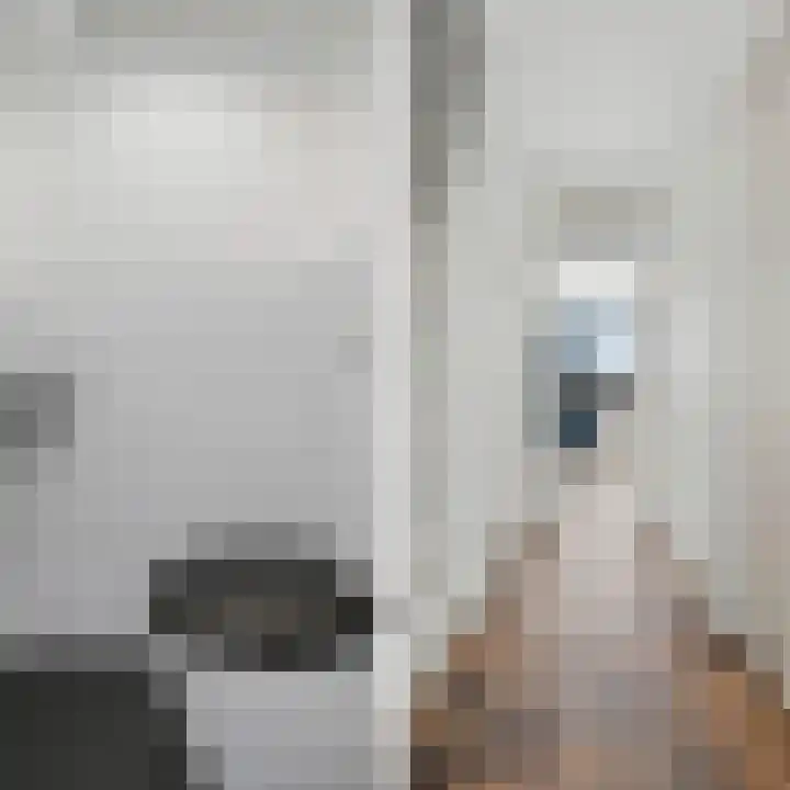 Van Anrooijstraat 55 Oss thumbnail 7