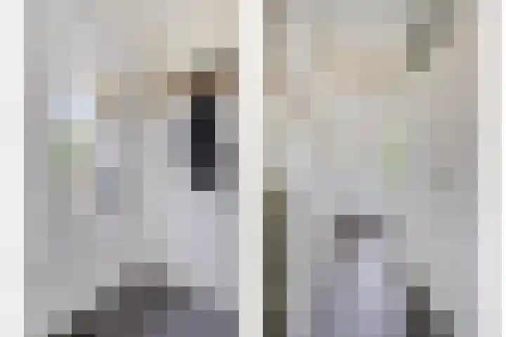 Van Anrooijstraat 96 Oss thumbnail 12