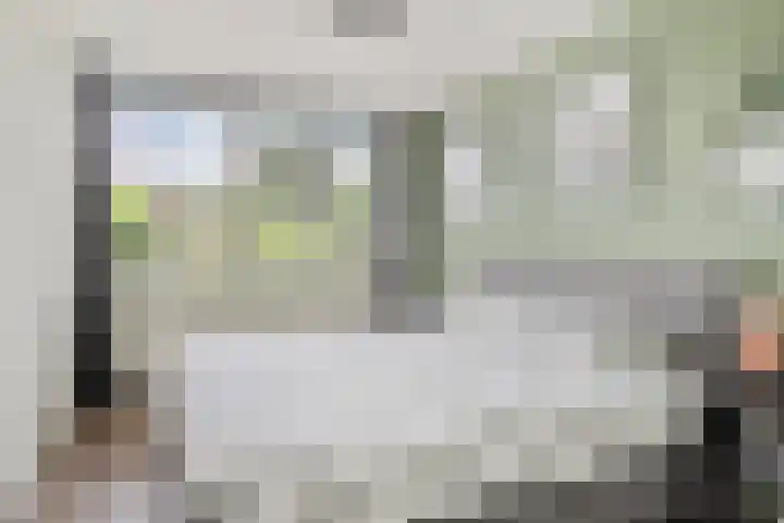 Van Anrooijstraat 96 Oss thumbnail 13