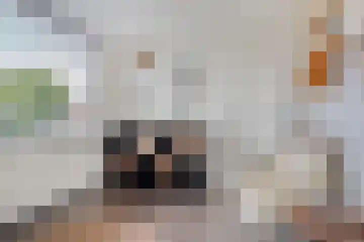 Van Anrooijstraat 96 Oss thumbnail 16