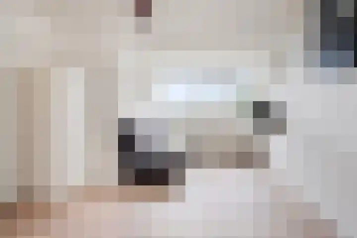 Van Anrooijstraat 96 Oss thumbnail 21