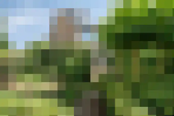 Van Anrooijstraat 96 Oss thumbnail 24