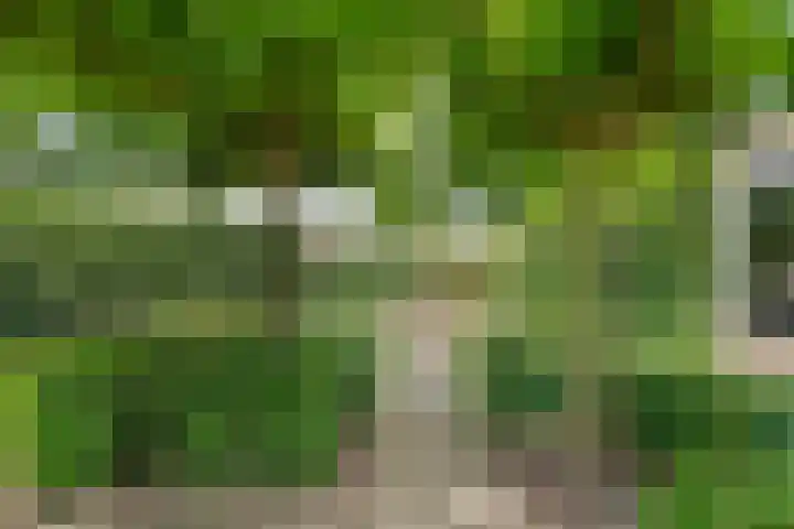 Van Anrooijstraat 96 Oss thumbnail 25