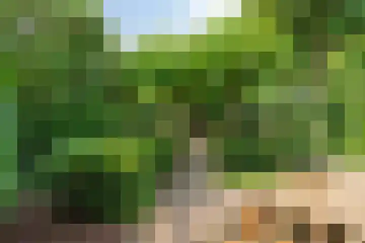 Van Anrooijstraat 96 Oss thumbnail 26