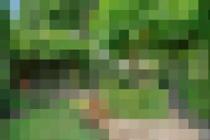 Van Anrooijstraat 96 Oss thumbnail 27
