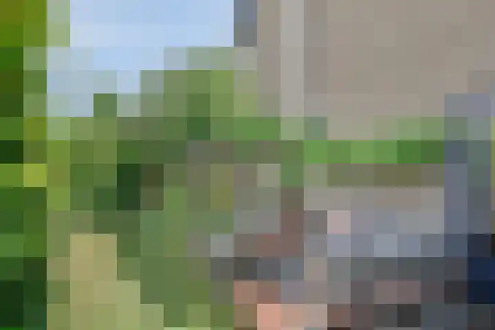 Van Anrooijstraat 96 Oss thumbnail 28