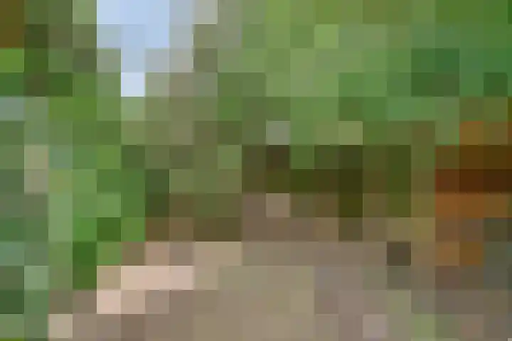 Van Anrooijstraat 96 Oss thumbnail 29