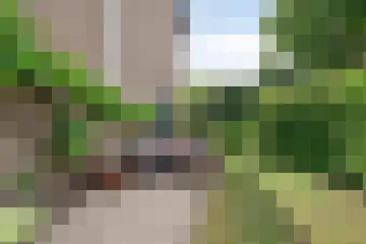 Van Anrooijstraat 96 Oss thumbnail 30