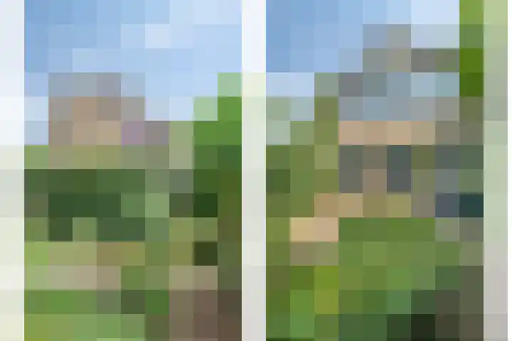 Van Anrooijstraat 96 Oss thumbnail 31
