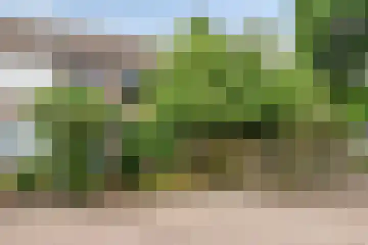 Van Anrooijstraat 96 Oss thumbnail 33