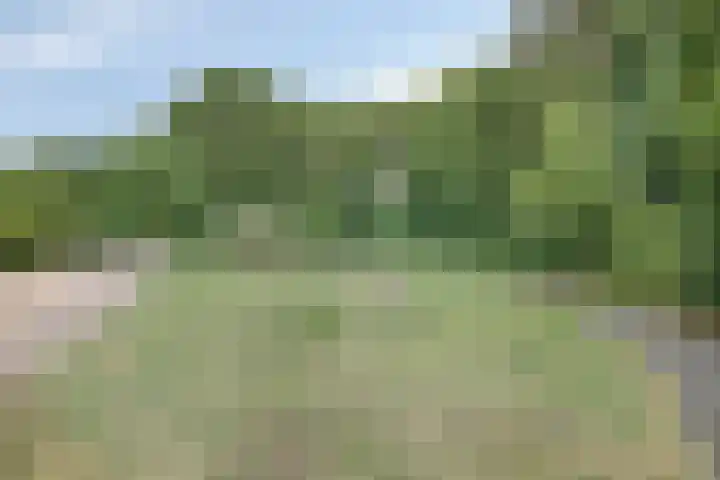 Van Anrooijstraat 96 Oss thumbnail 37