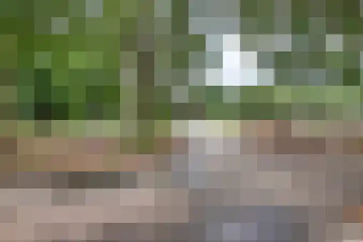 Van Anrooijstraat 96 Oss thumbnail 40