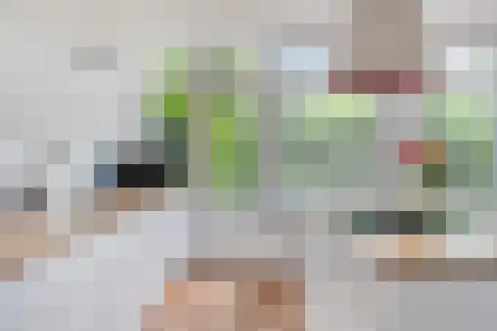 Van Anrooijstraat 96 Oss thumbnail 9