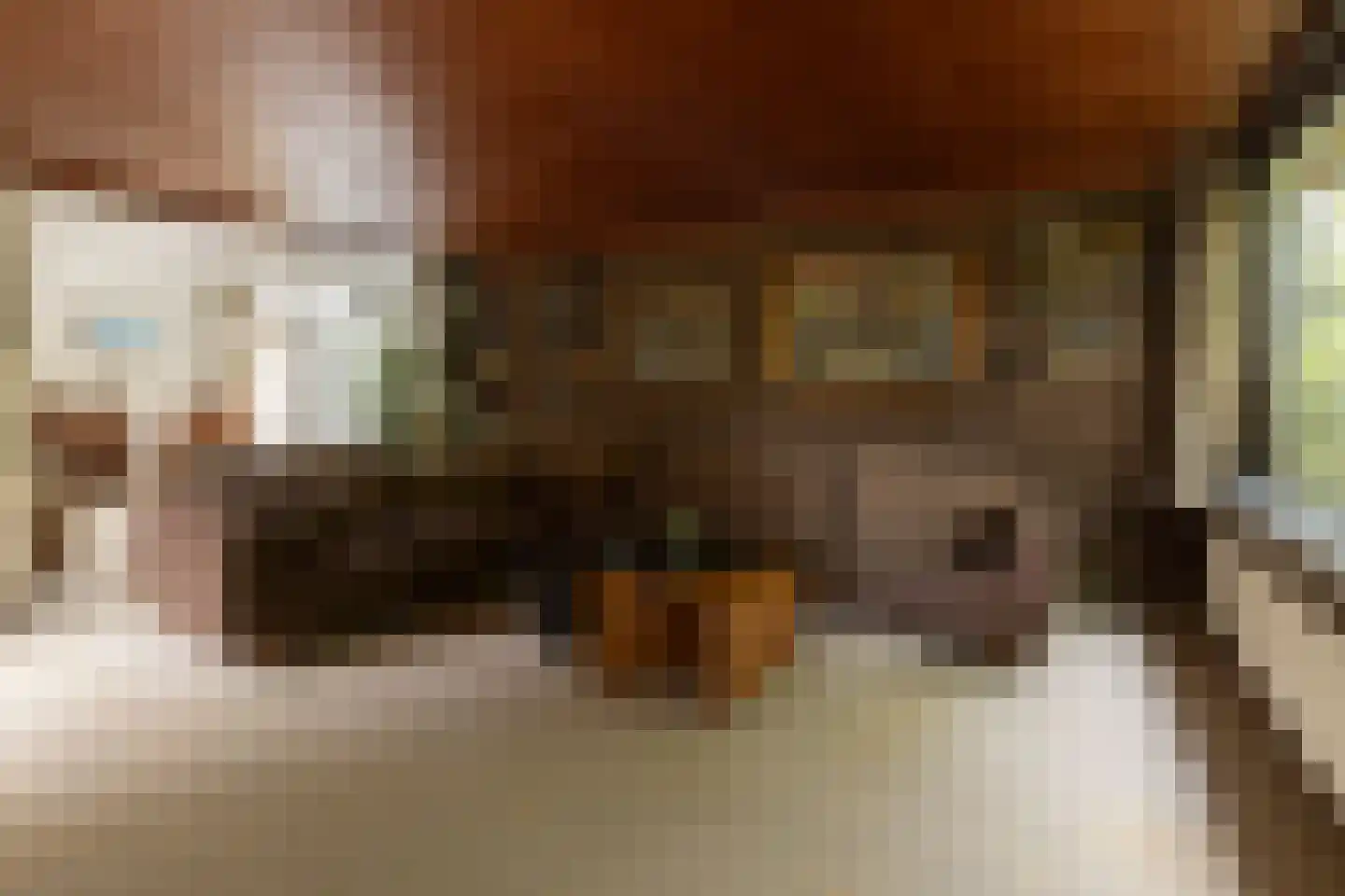Van Anrooylaan 12 Ede thumbnail 15