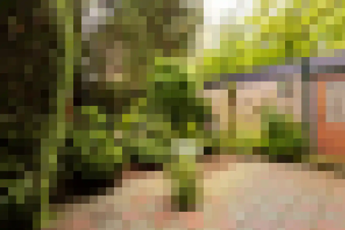 Van Anrooylaan 12 Ede thumbnail 35
