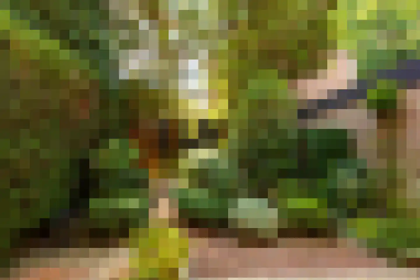 Van Anrooylaan 12 Ede thumbnail 35