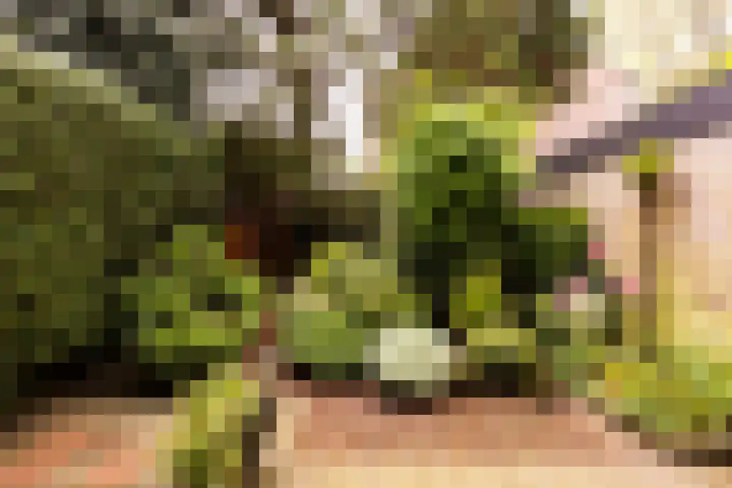 Van Anrooylaan 12 Ede thumbnail 36