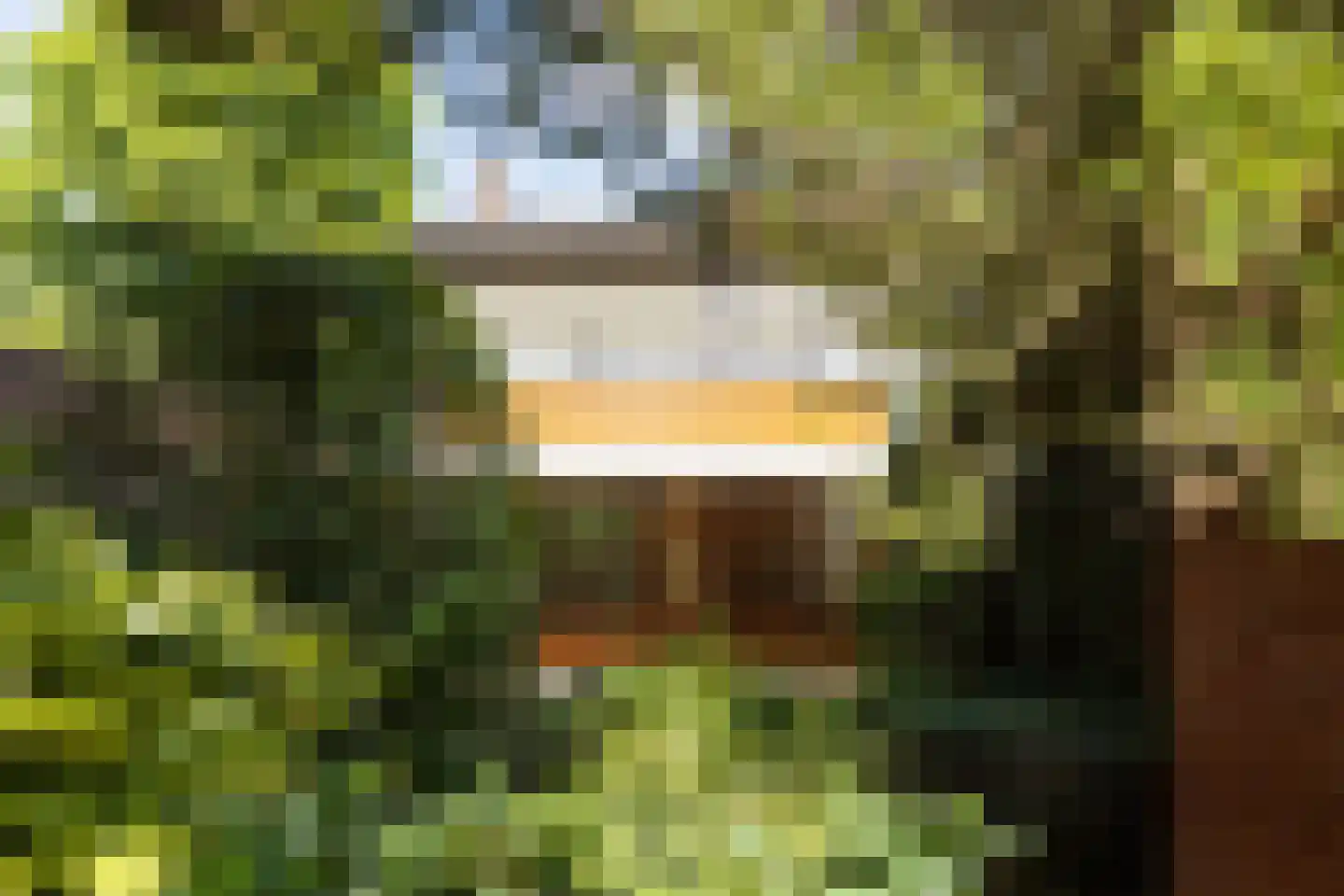 Van Anrooylaan 12 Ede thumbnail 36