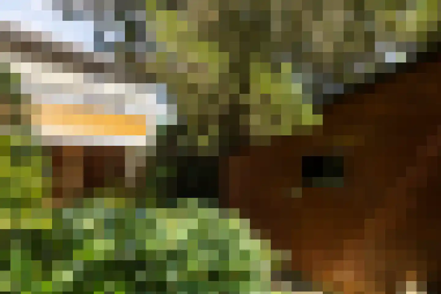 Van Anrooylaan 12 Ede thumbnail 37