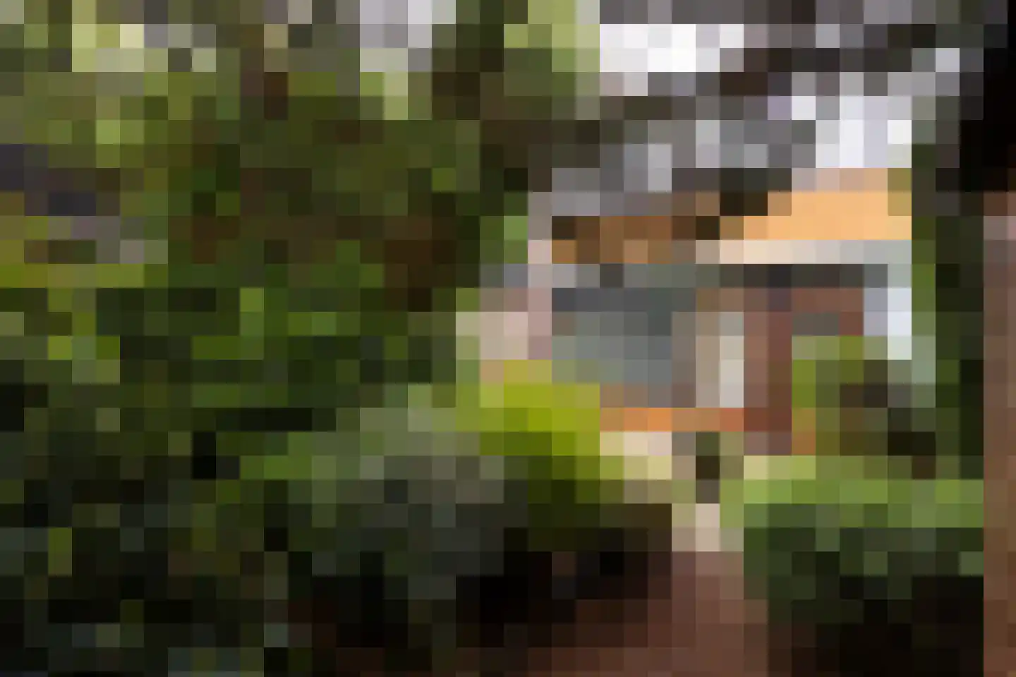 Van Anrooylaan 12 Ede thumbnail 37