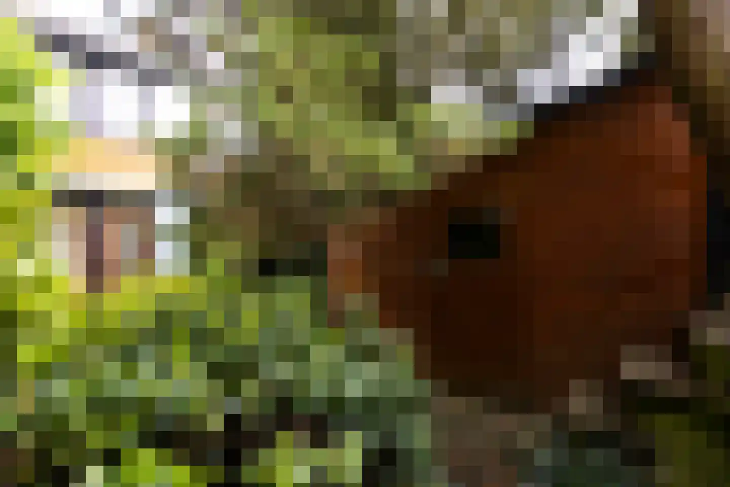 Van Anrooylaan 12 Ede thumbnail 38