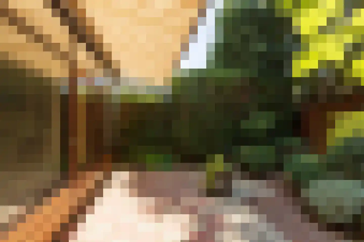 Van Anrooylaan 12 Ede thumbnail 38