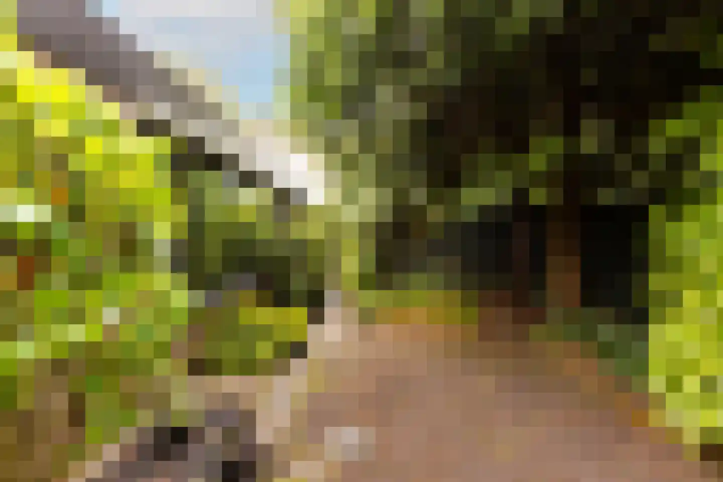 Van Anrooylaan 12 Ede thumbnail 40