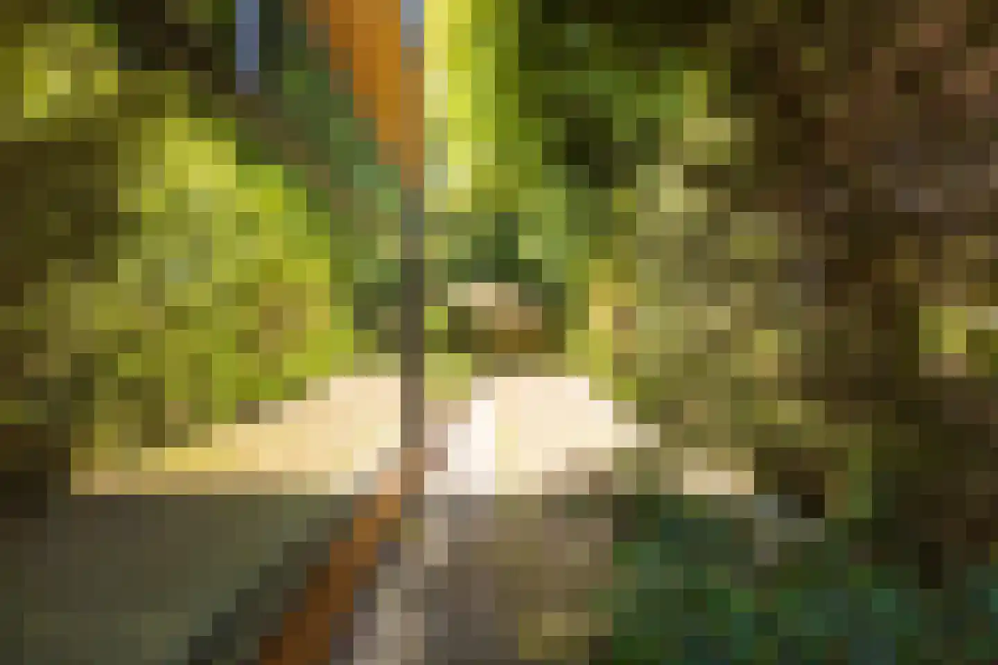 Van Anrooylaan 12 Ede thumbnail 40