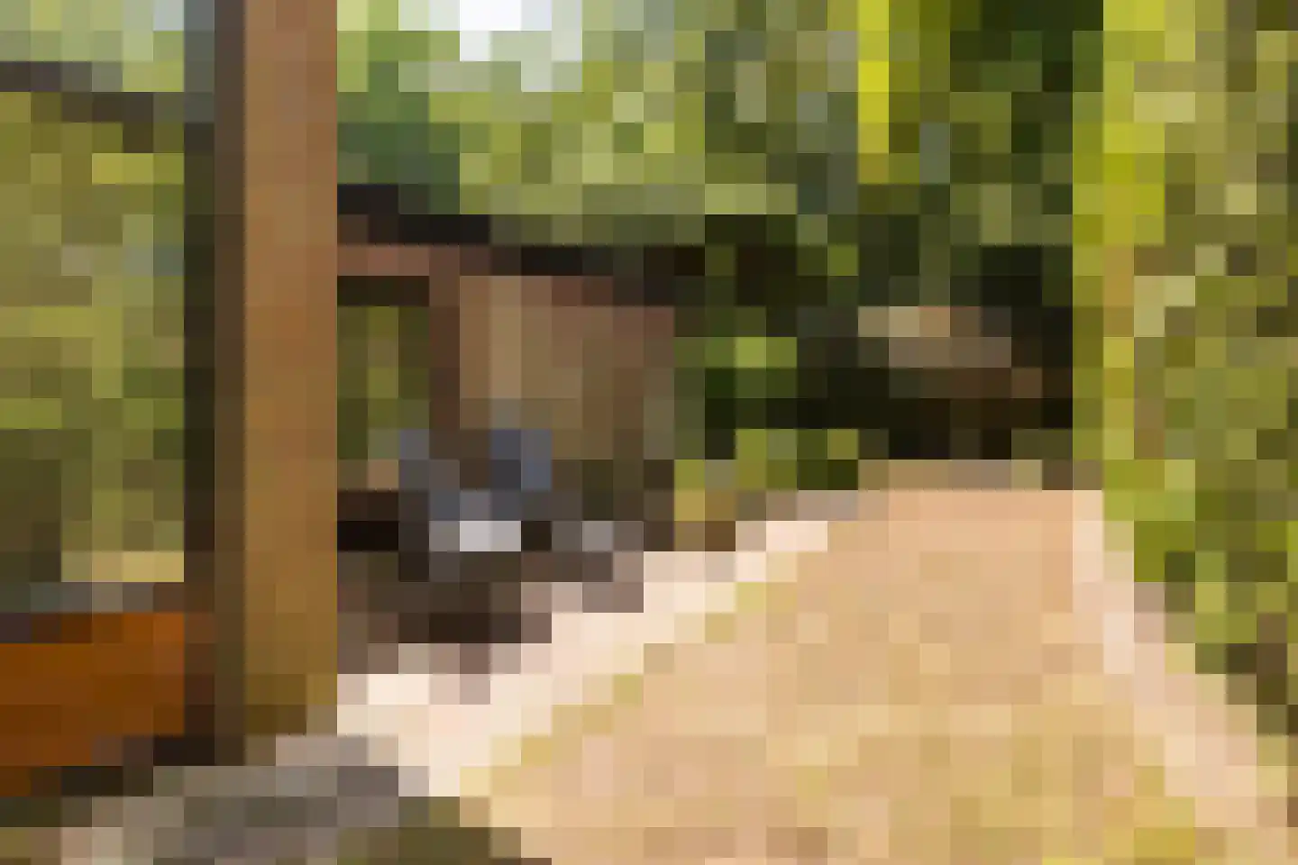 Van Anrooylaan 12 Ede thumbnail 41