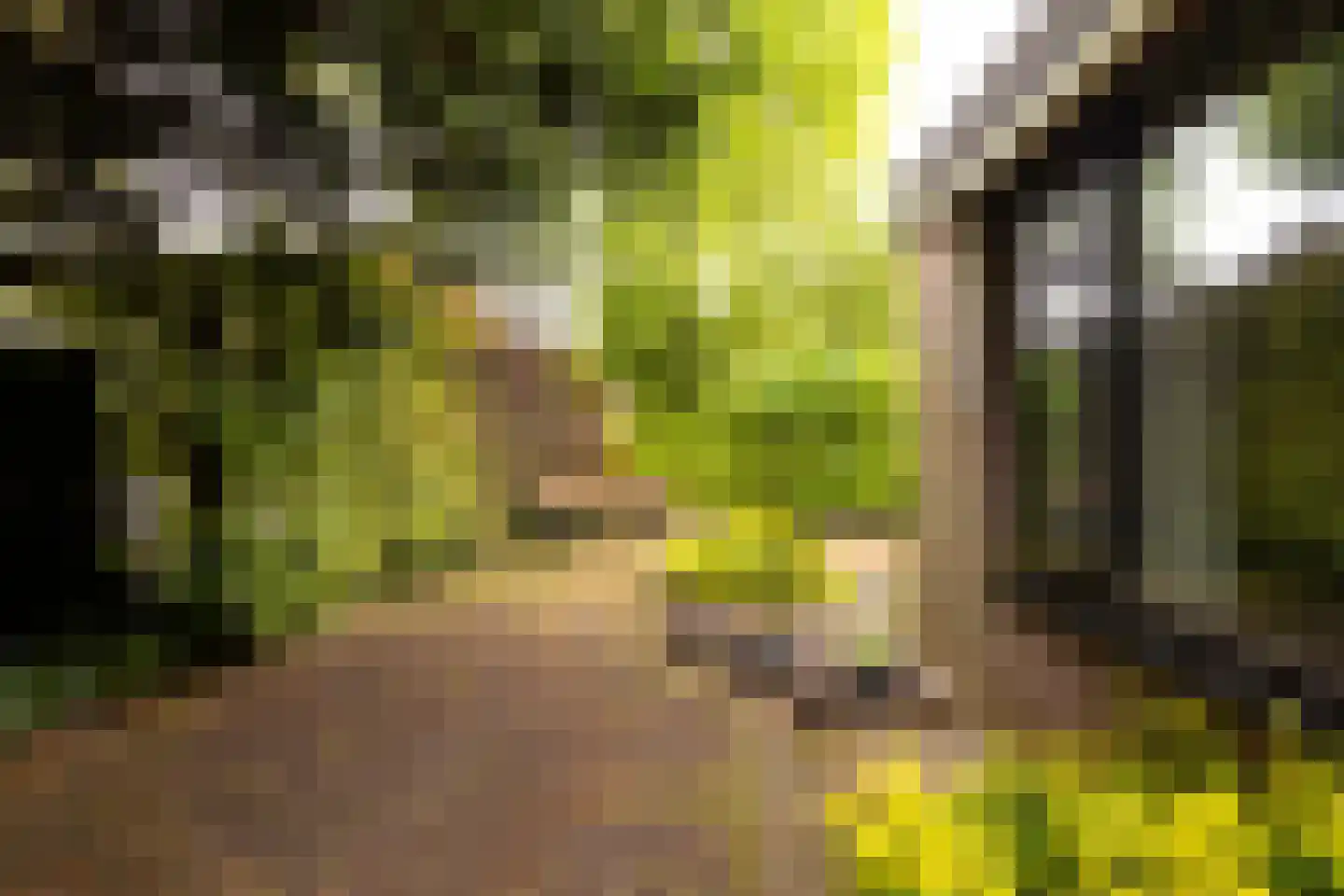 Van Anrooylaan 12 Ede thumbnail 41