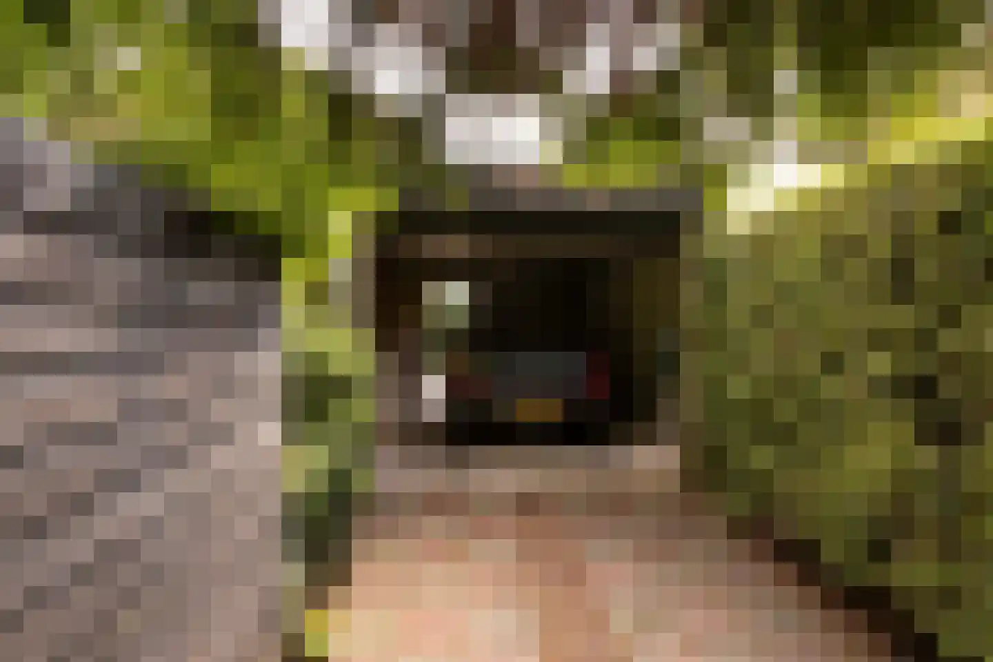 Van Anrooylaan 12 Ede thumbnail 42