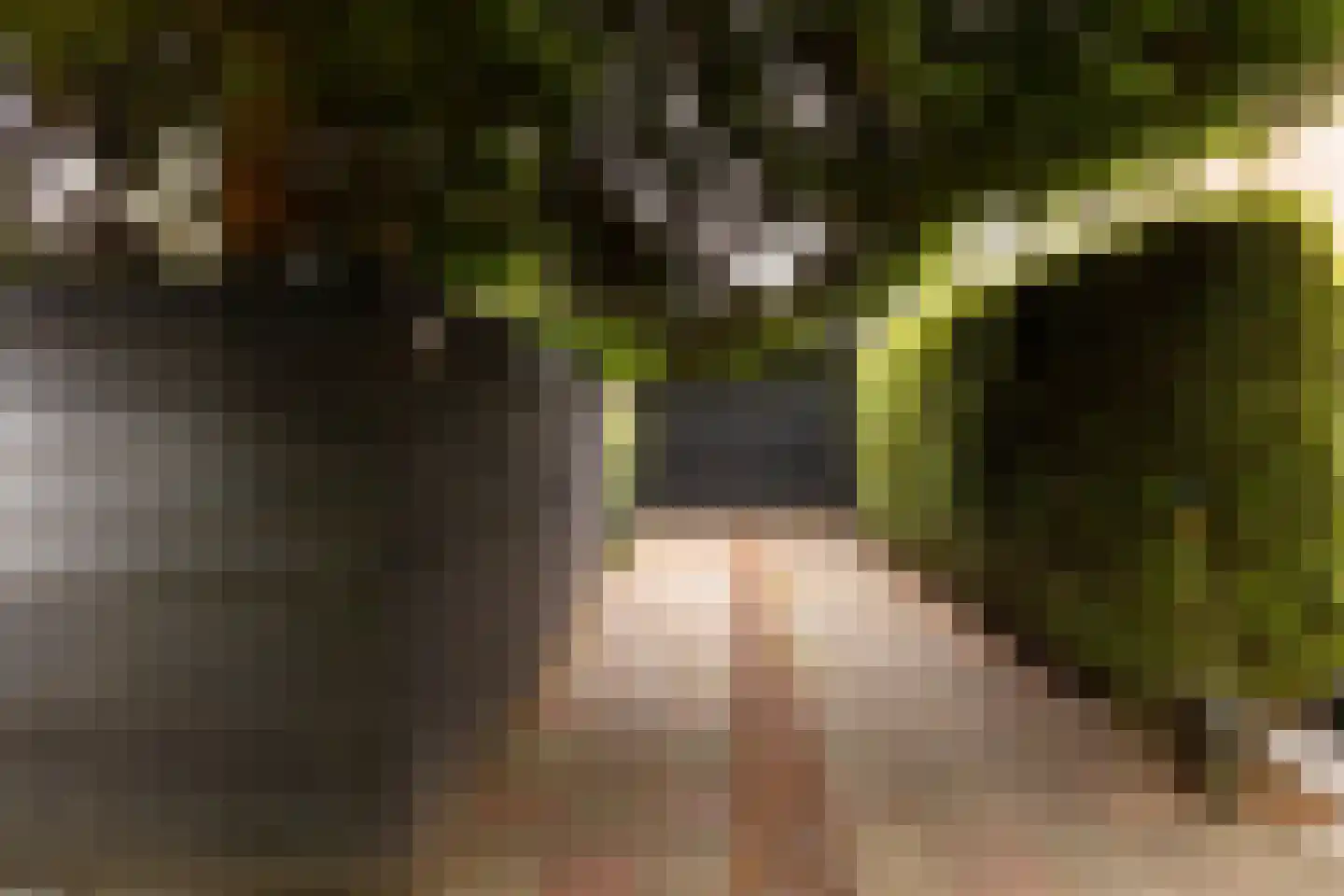 Van Anrooylaan 12 Ede thumbnail 43