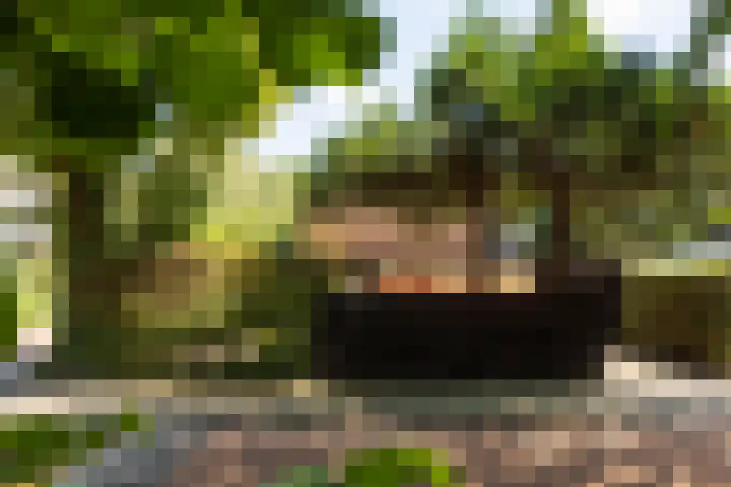 Van Anrooylaan 12 Ede thumbnail 44