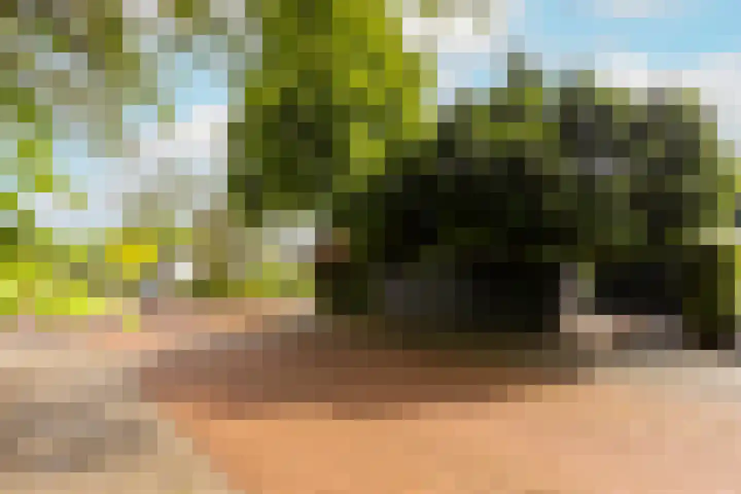 Van Anrooylaan 12 Ede thumbnail 44
