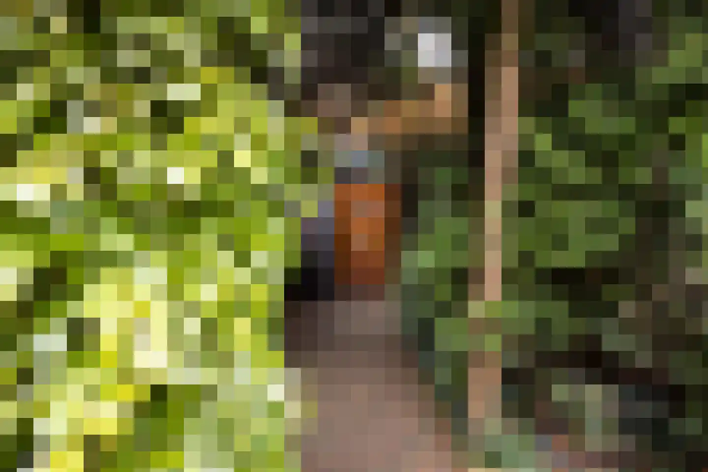 Van Anrooylaan 12 Ede thumbnail 5
